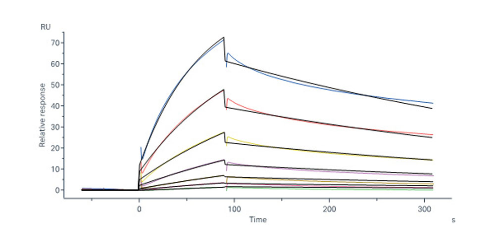  Integrin alpha 3 beta 1 SPR