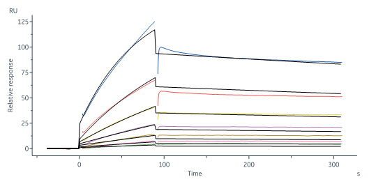  Integrin alpha V beta 3 SPR