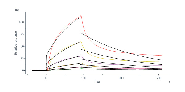  Integrin alpha V beta 6 SPR