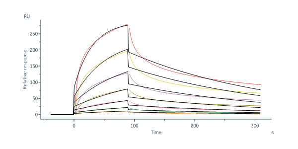  Neuraminidase (NA) SPR