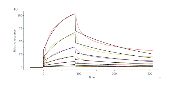  Neuraminidase (NA) SPR