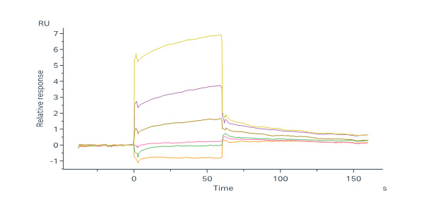  Neuraminidase (NA) SPR