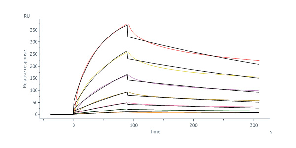  Neuraminidase (NA) SPR