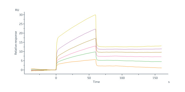  Neuraminidase (NA) SPR