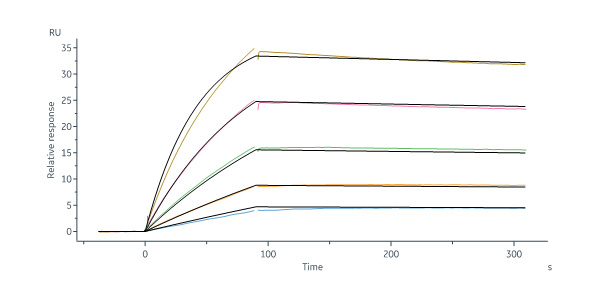  Nucleocapsid protein SPR