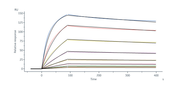  Nucleocapsid protein SPR