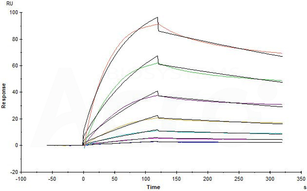  Spike protein SPR