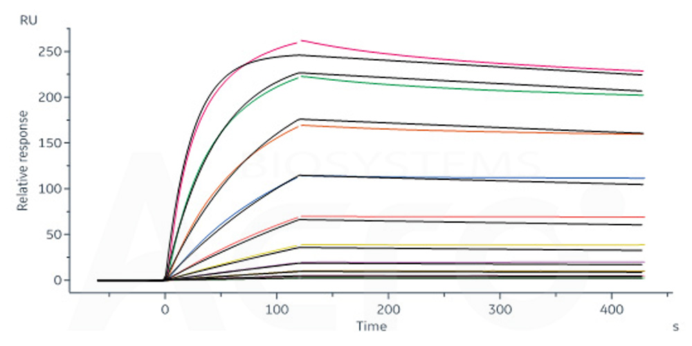  Spike protein SPR