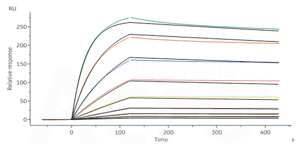  Spike protein SPR