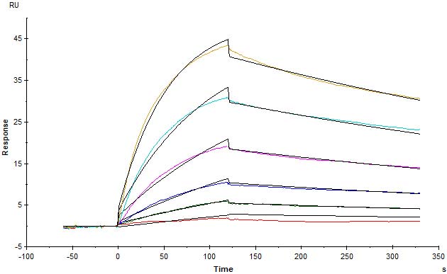  Spike protein SPR