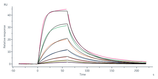  STAT3 SPR