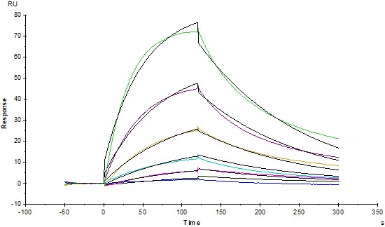  Thrombopoietin R SPR