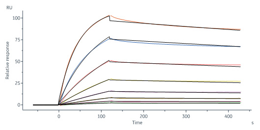  Trastuzumab SPR