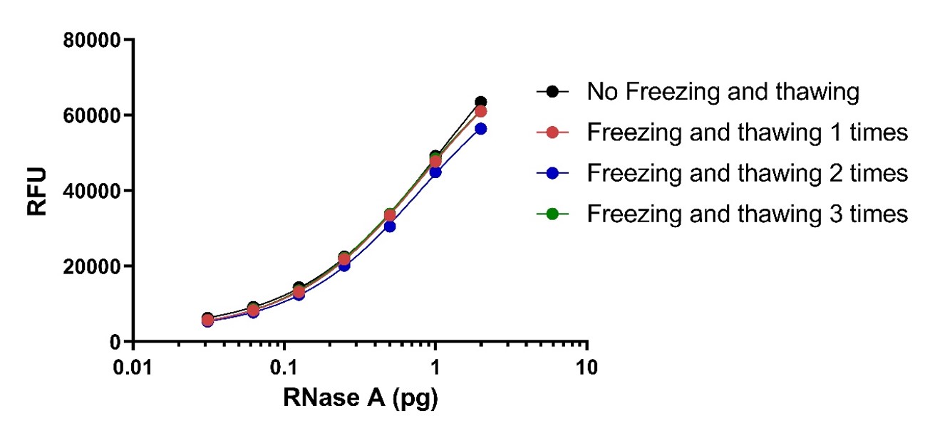  RNase A STABILITY