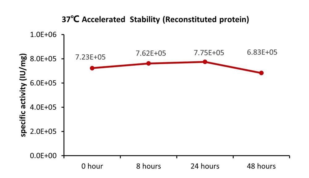  Flt-3 Ligand STABILITY