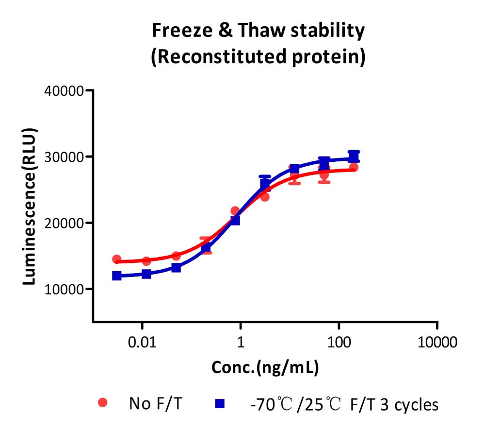  Flt-3 Ligand STABILITY