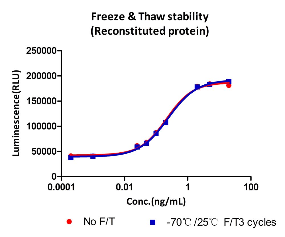  GM-CSF STABILITY