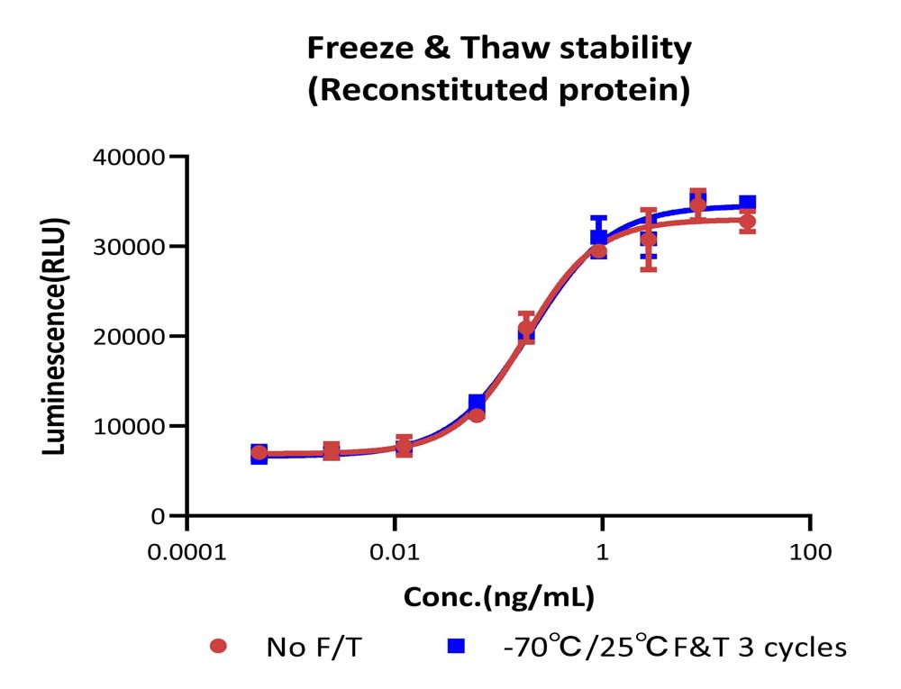  IL-4 STABILITY