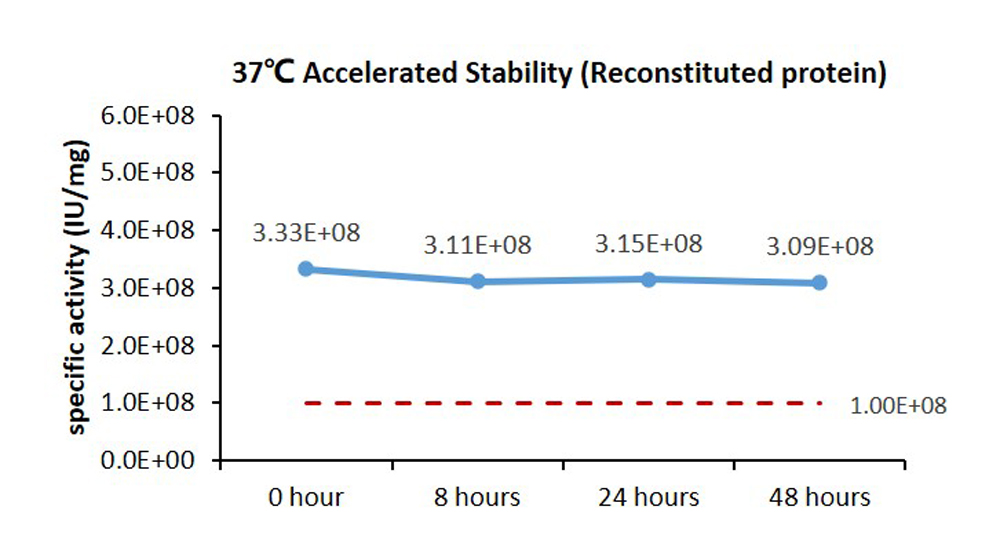  IL-7 STABILITY