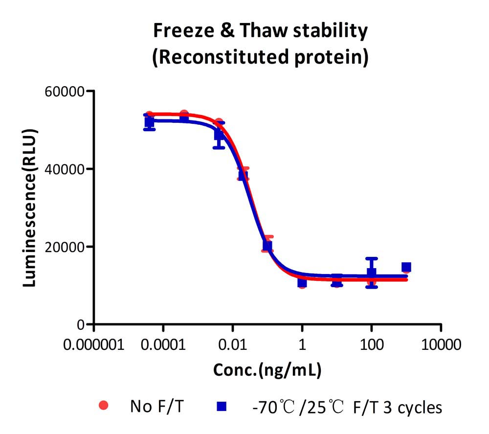  TGF-beta 1 STABILITY