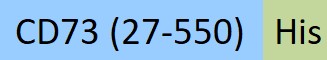 CD3-R52H3-structure