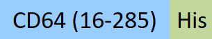 CD4-R52H3-structure