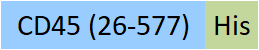 CD5-H52H8-structure