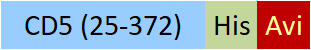 CD5-H82E5-structure