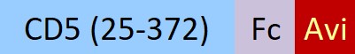 CD5-H82F3-structure