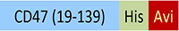 CD7-H82E9-structure