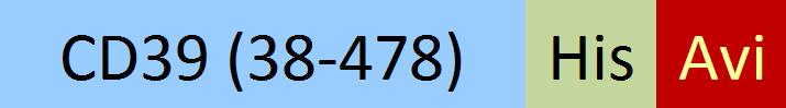 CD9-H82E5-structure