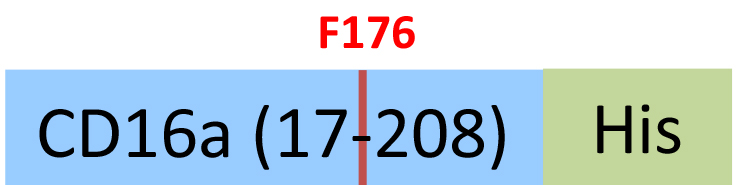 CDA-H5220-structure