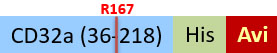 CDA-H82E5-structure