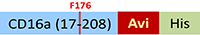 CDA-H82E8-structure