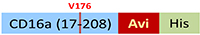 CDA-H82E9-structure