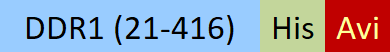 DD1-H82E9-structure