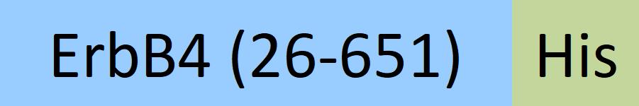 ER4-H5221-structure