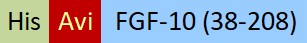 FG0-H81Q7-structure