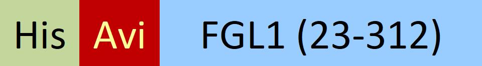 FG1-H82Ey-structure