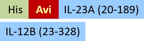 ILB-H82W6-structure