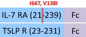 ILR-H5255-structure