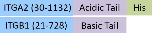 IT1-H52W6-structure