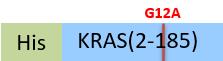 KRS-H51H1-structure