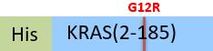 KRS-H51H2-structure