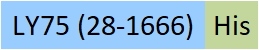 LY5-H52H3-structure