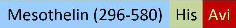 MSN-H82E9-structure