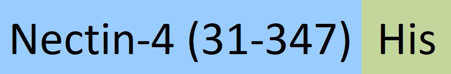 NE4-M52H3-structure