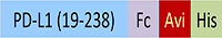 PD1-H82F3-structure