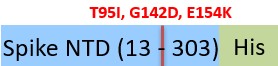 S1D-C52Hf-structure