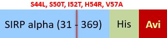 SI8-H82W6-structure